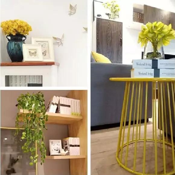 壹号娱乐 - NG大舞台,有梦你就来