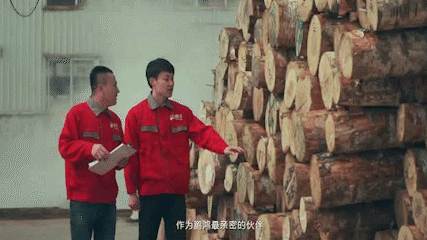 壹号娱乐 - NG大舞台,有梦你就来