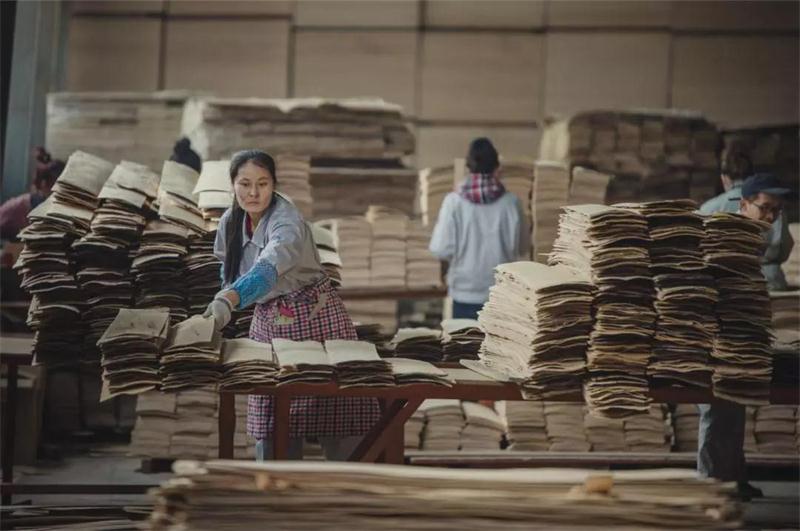 壹号娱乐之造——壹号娱乐22周年特殊奉献品质篇