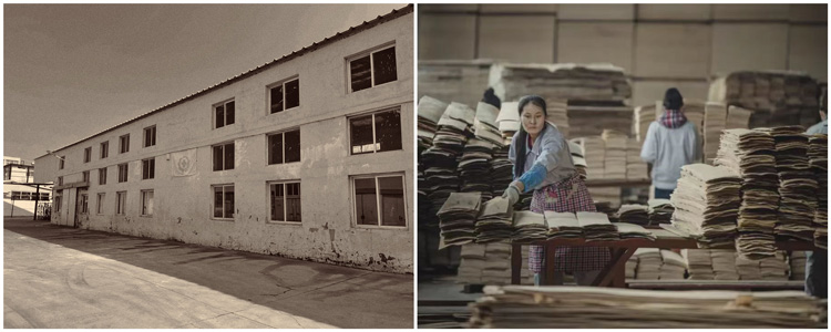 壹号娱乐 - NG大舞台,有梦你就来