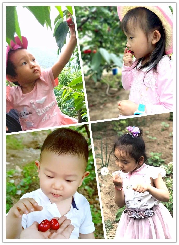 壹号娱乐 - NG大舞台,有梦你就来