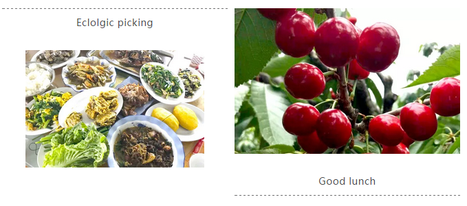 壹号娱乐 - NG大舞台,有梦你就来